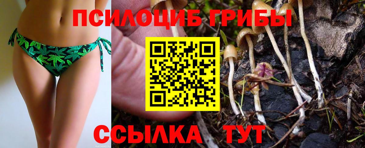 Александров  Галлюциногенные грибы прущие грибы  Галлюциногенные грибы GOLDEN TEACHER  Вход с VPN 